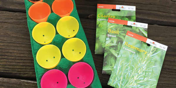Seed Garden