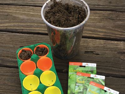 Seed Garden